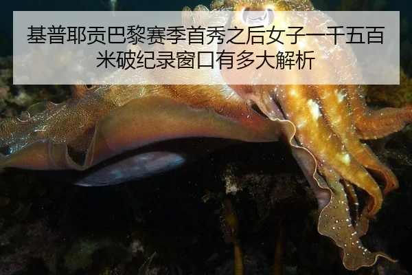 ji-pu-ye-gong-ba-li-sai-ji-shou-xiu-zhi-hou-nv-zi-yi-qian-wu-bai-mi-po-ji-lu-chuang-kou-you-duo-da-jie-xi-2-262.jpg