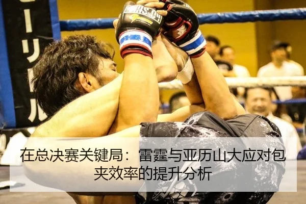 zai-zong-jue-sai-guan-jian-ju-lei-ting-yu-ya-li-shan-da-ying-dui-bao-jia-xiao-lv-de-ti-sheng-fen-xi-2-112.jpg